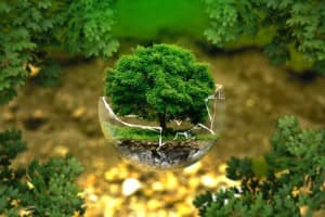 5 سلوكيات بيئية إيجابية بإمكان أي شخص الالتزام بها لبيئة أفضل